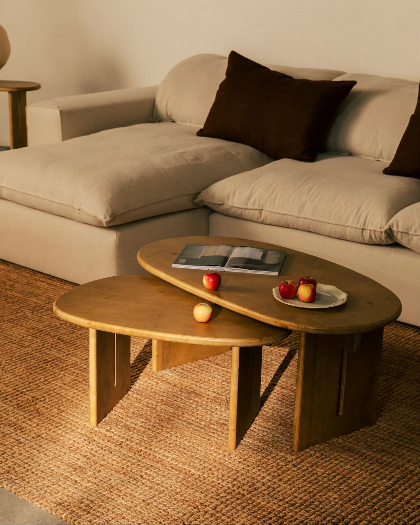 Zaraya Coffee Table